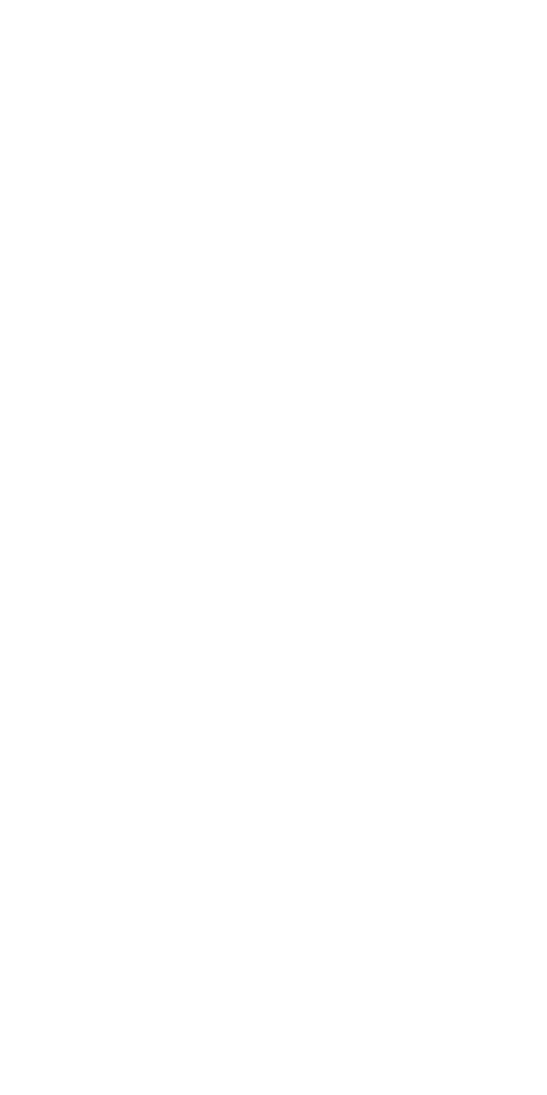 logo Lyon